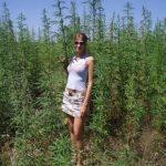 Sexdating in Hunsel