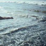 Sexdating in Hazerswoude