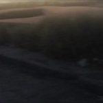 teen-gives-head-in-the-car-and-then-finishes-it-outside-over-the-freeway